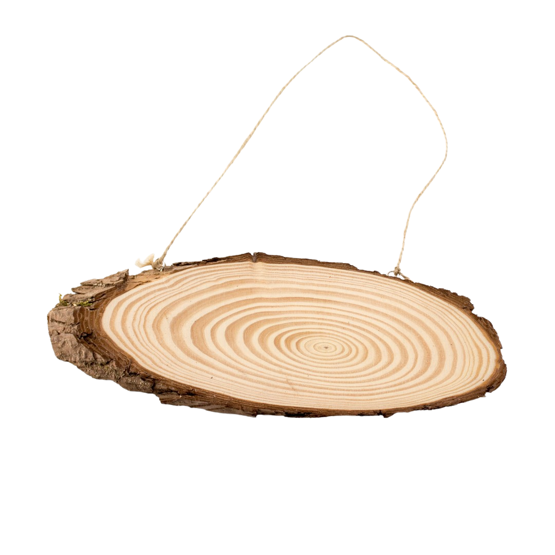 WOODEN SLICE PIECES 25CM