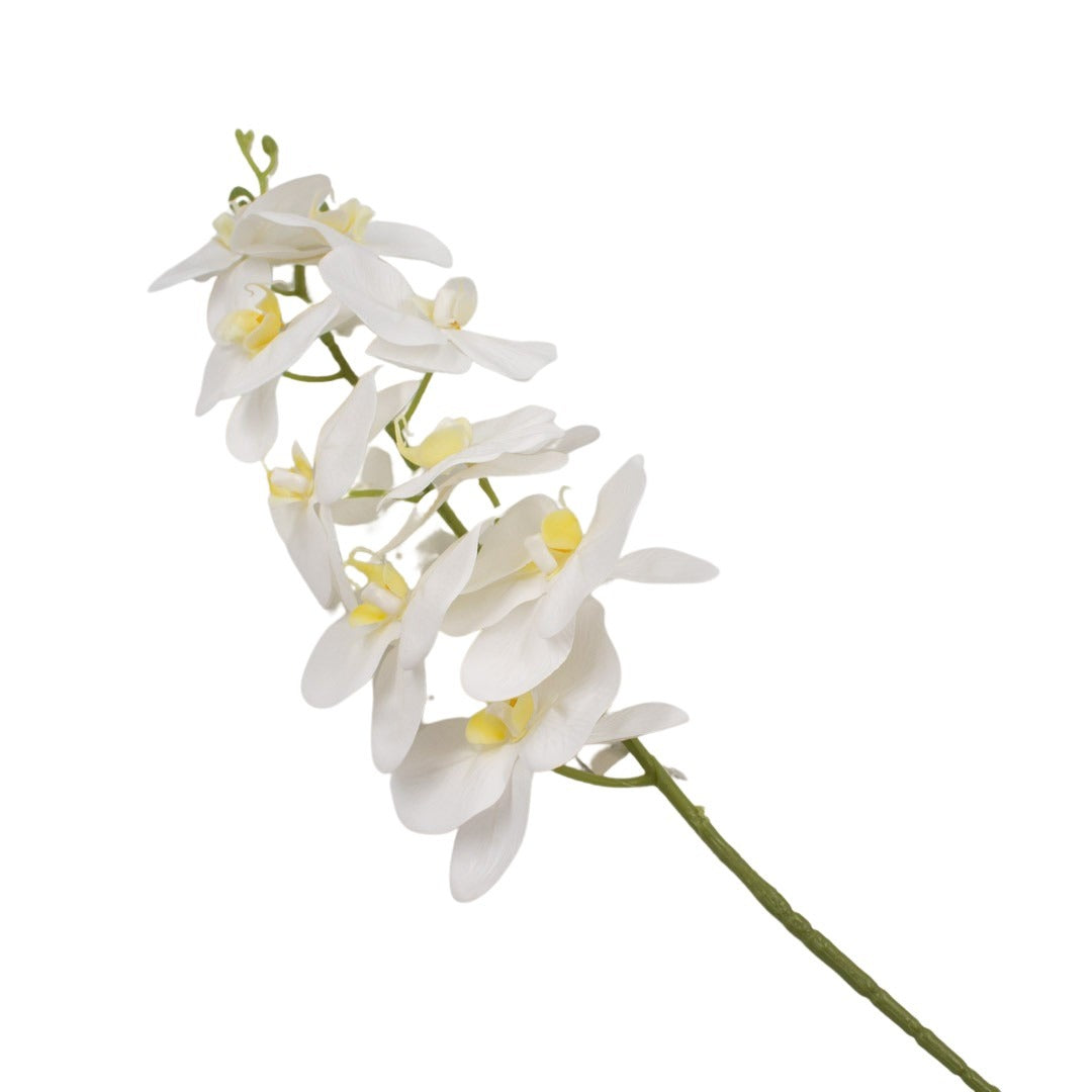 ORCHID 100CM