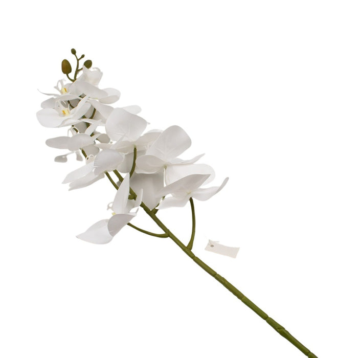 ORCHID 100CM
