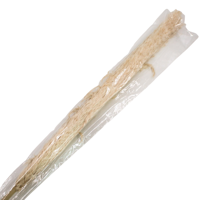 PRESERVED PLANT 150cm