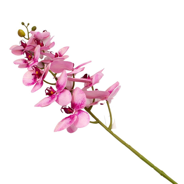 ORCHID 100CM