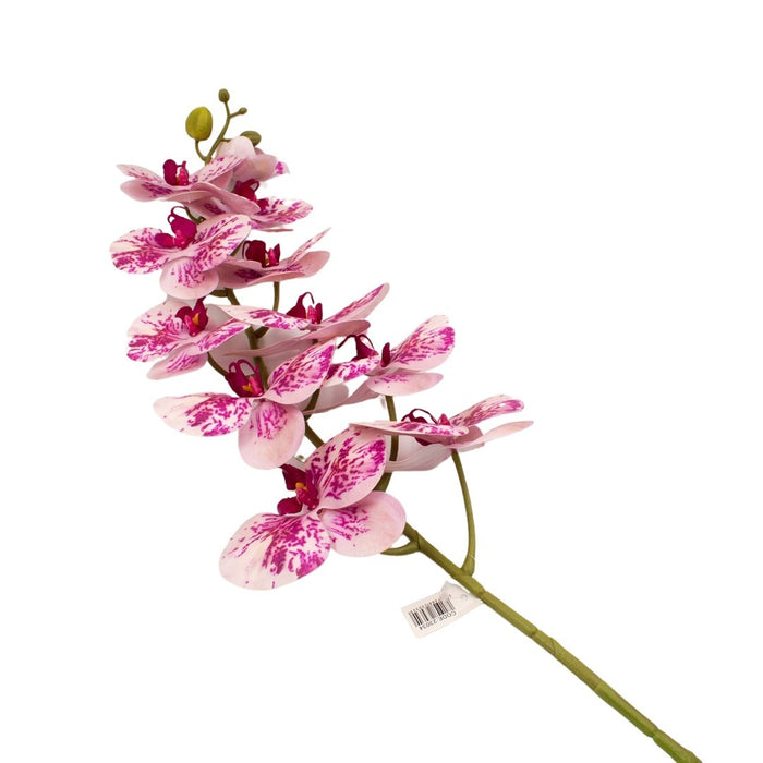 ORCHID 100CM