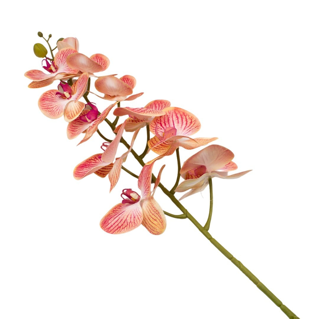 ORCHID 100CM