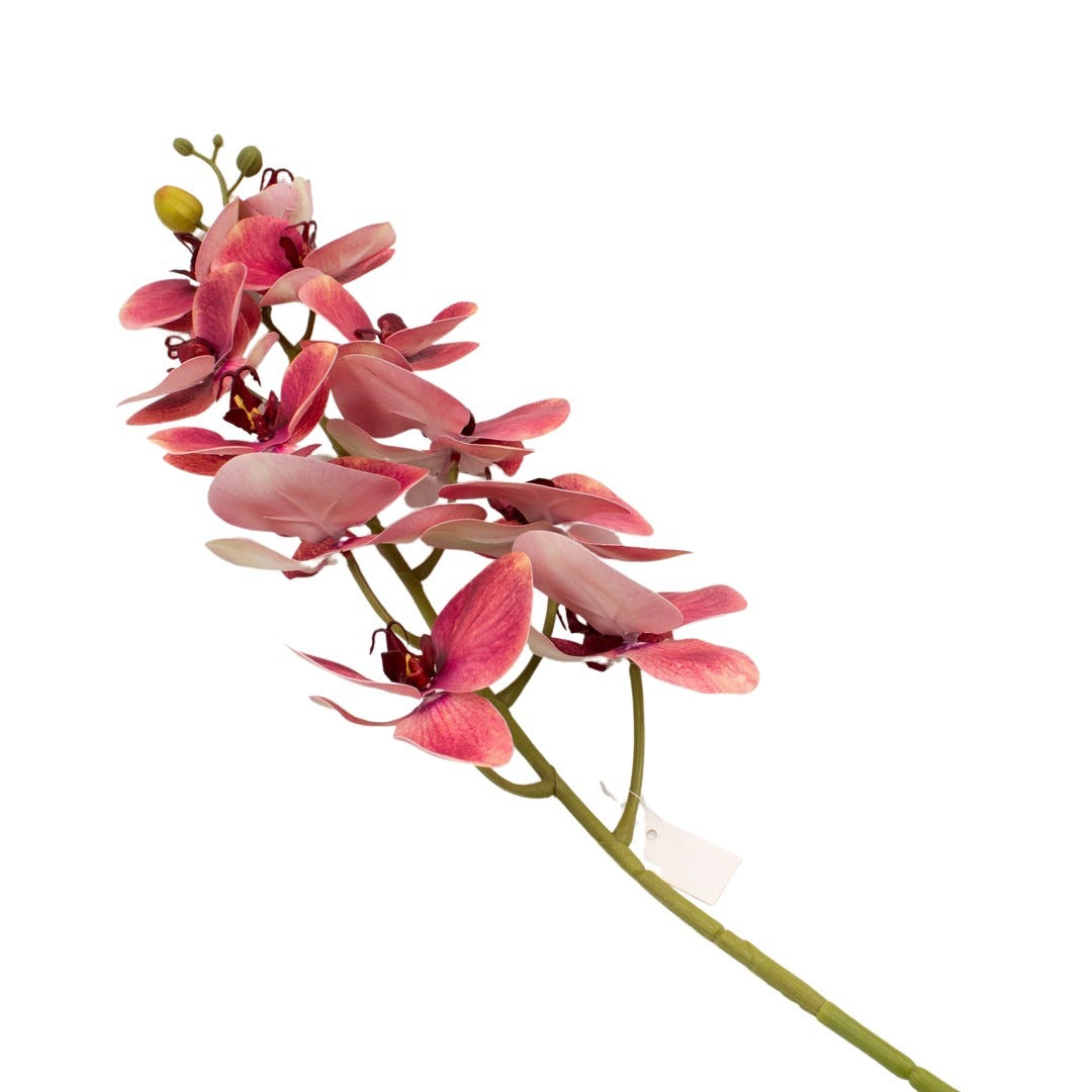 ORCHID 100CM