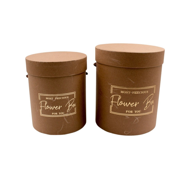 PAPER BOX BROWN S/2