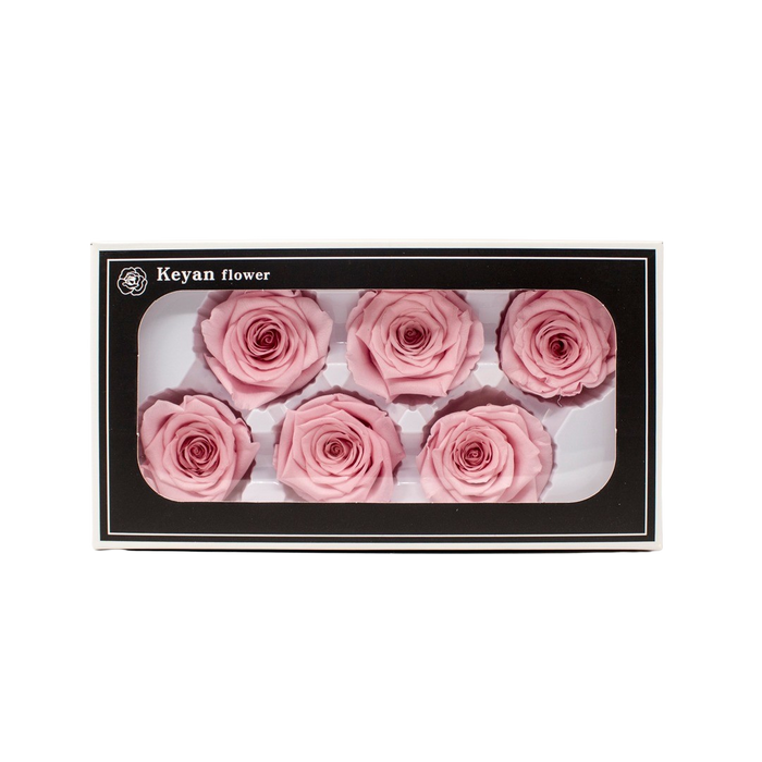 FOREVER ROSES 6PCS PINK 6CM