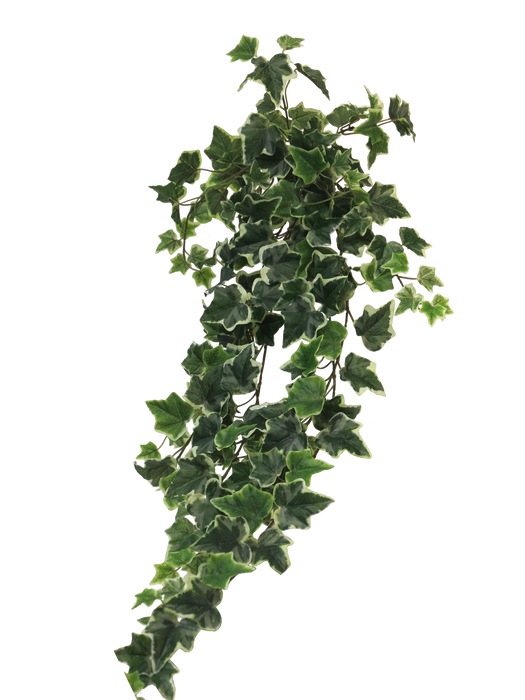 IVY HANGER 86CM