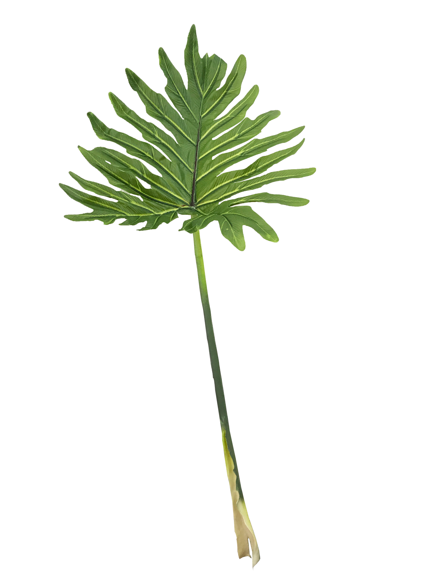 PHILODENDRON LEAF GREEN 93CM