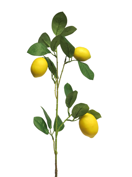 LEMON SPRAY x3 YELLOW 74m