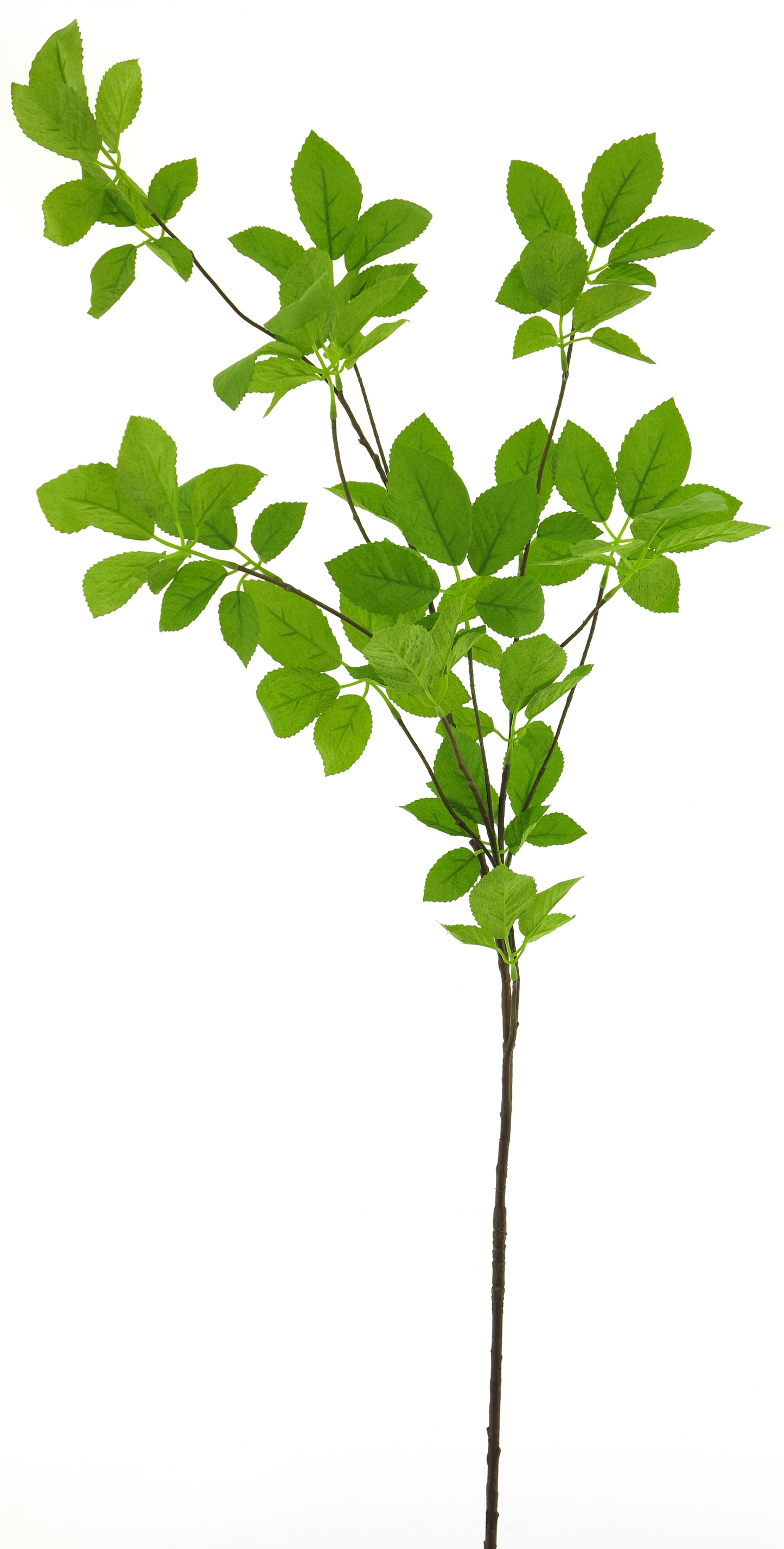SPRING LEAF 128CM