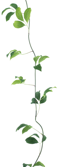 SPARROW LEAF GARLAND 280CM