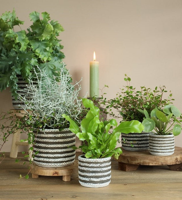 POT RAF 14X12.5HCM GREY