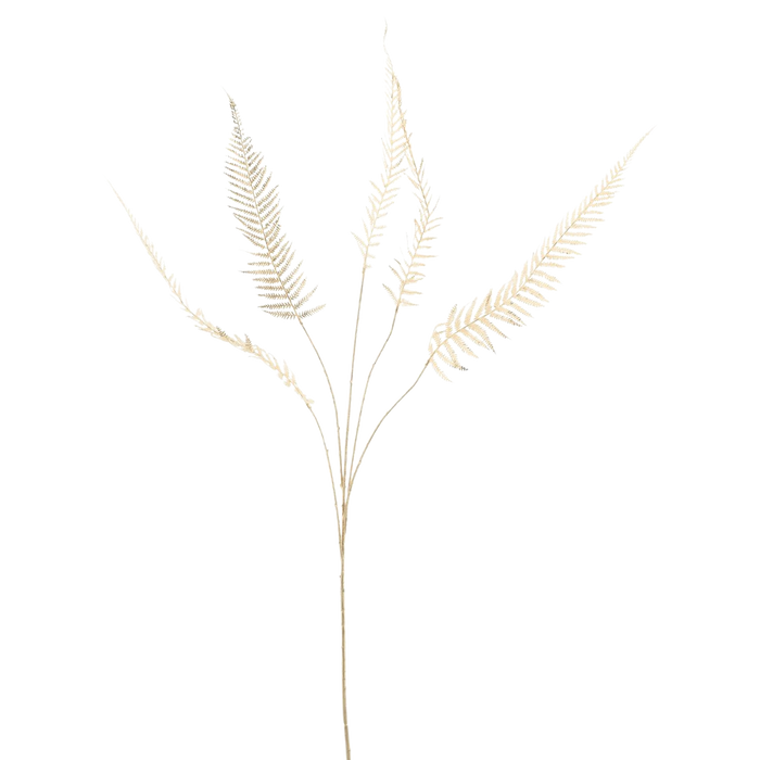 SWORD FERN GOLD 119CM