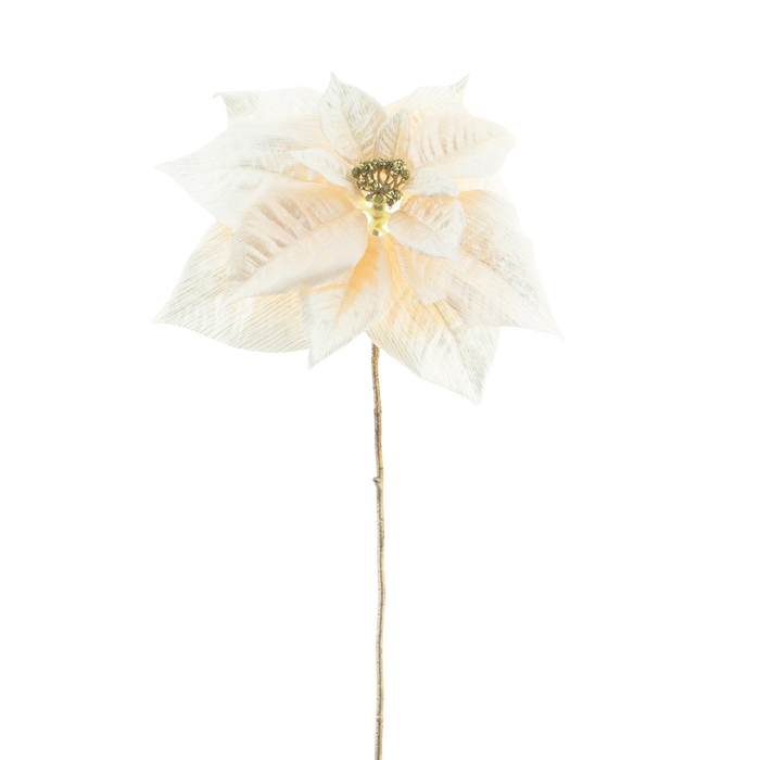 POINSETTIA CREAM 70CM