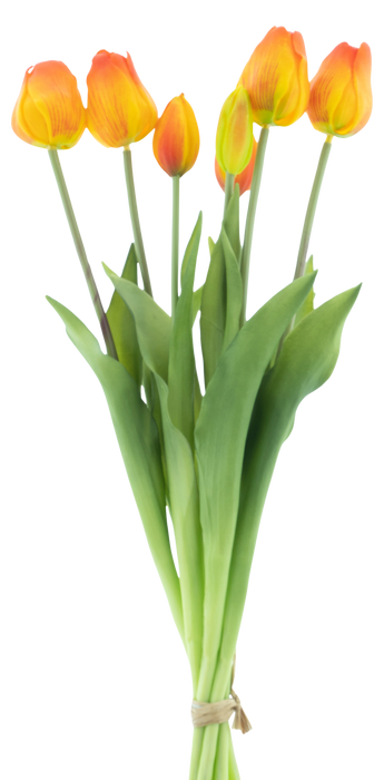 CLASSIC TULIP ORANGE X7 47CM