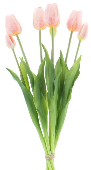TULIP BUNDLE X7 PINK 47CM