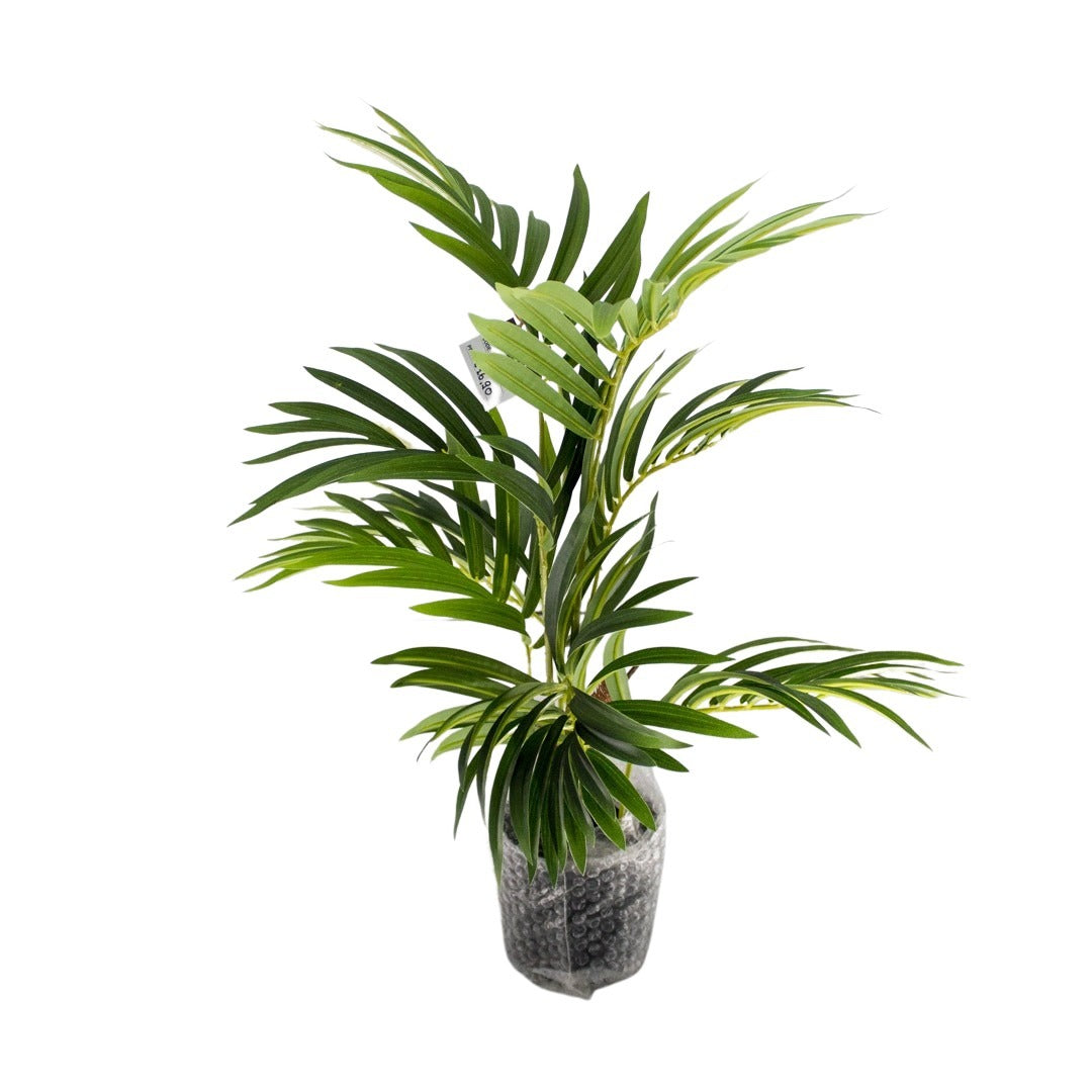 RUBBER PALM 65CM