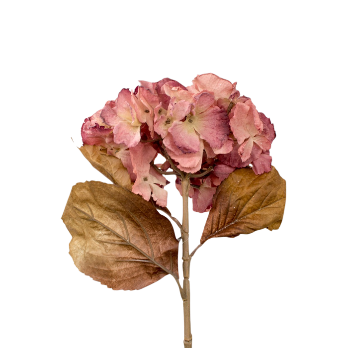ORTANSIA PINK 81CM