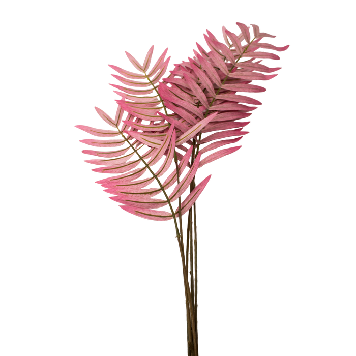 FERN LEAF MIRJA PINK 93CM