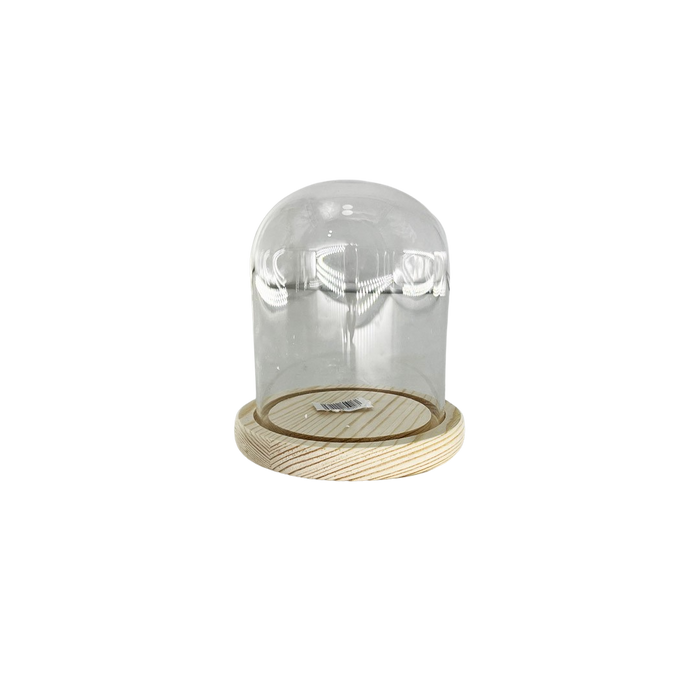 GLASS DOME 10X11.5CM