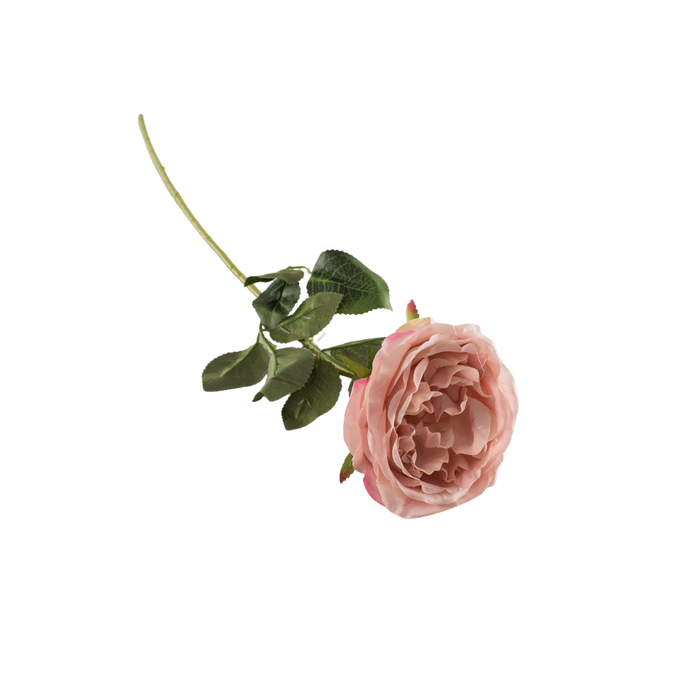 ROSE PINK 61CM