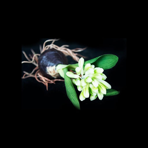 Artificial roots 20cm - Deventor