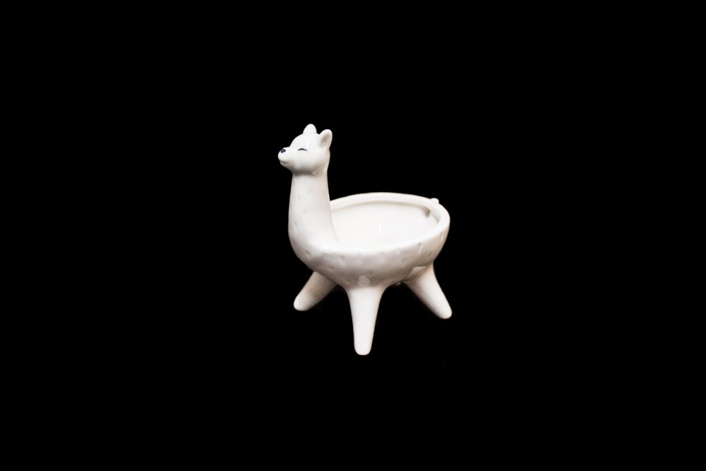 Floral pot - Deventor