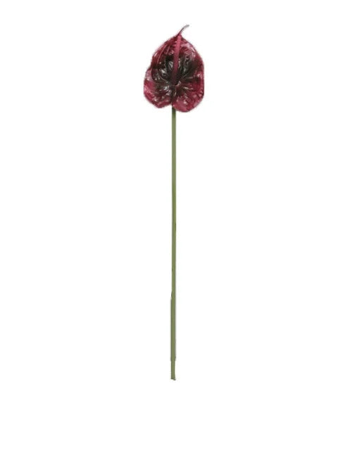 ANTHURIUM RED 66CM