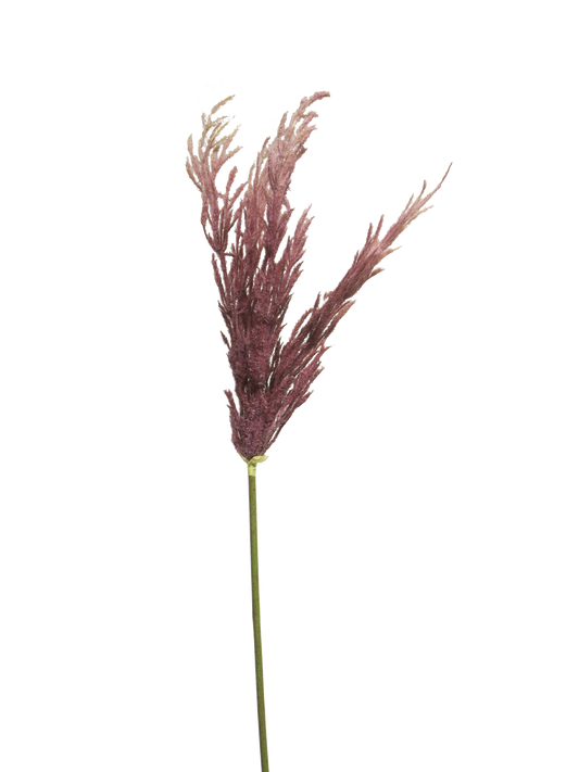 GRASS SPRAY RED 99CM