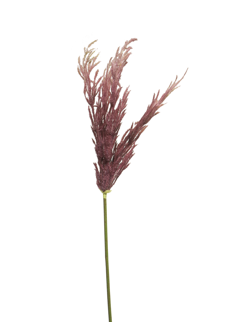 GRASS SPRAY RED 99CM