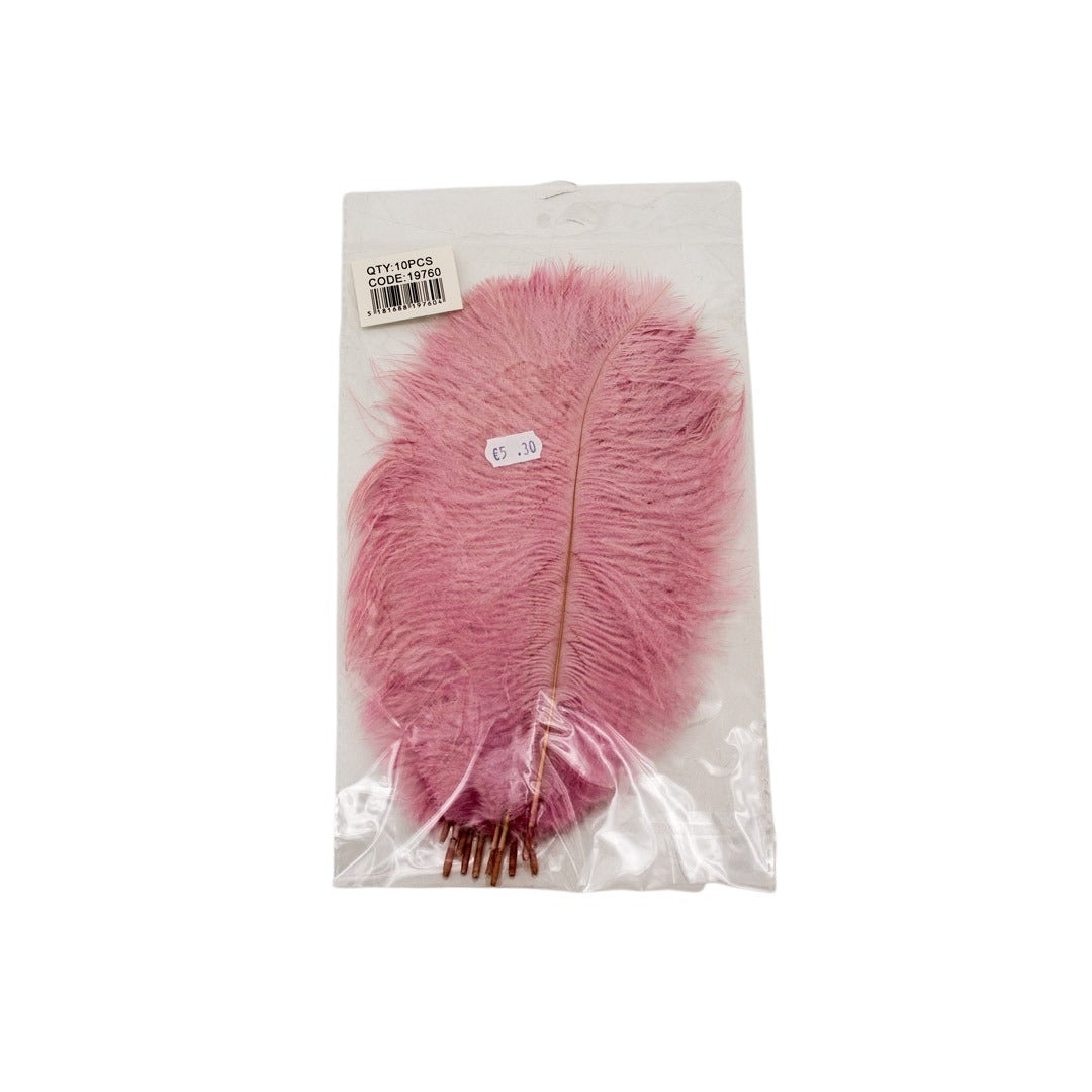 Feathers/Dreamcatcher