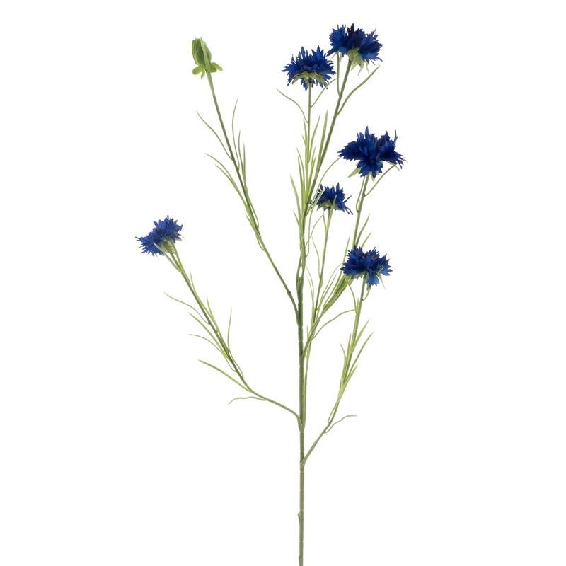CORNFLOWER D/BLUE 90CM