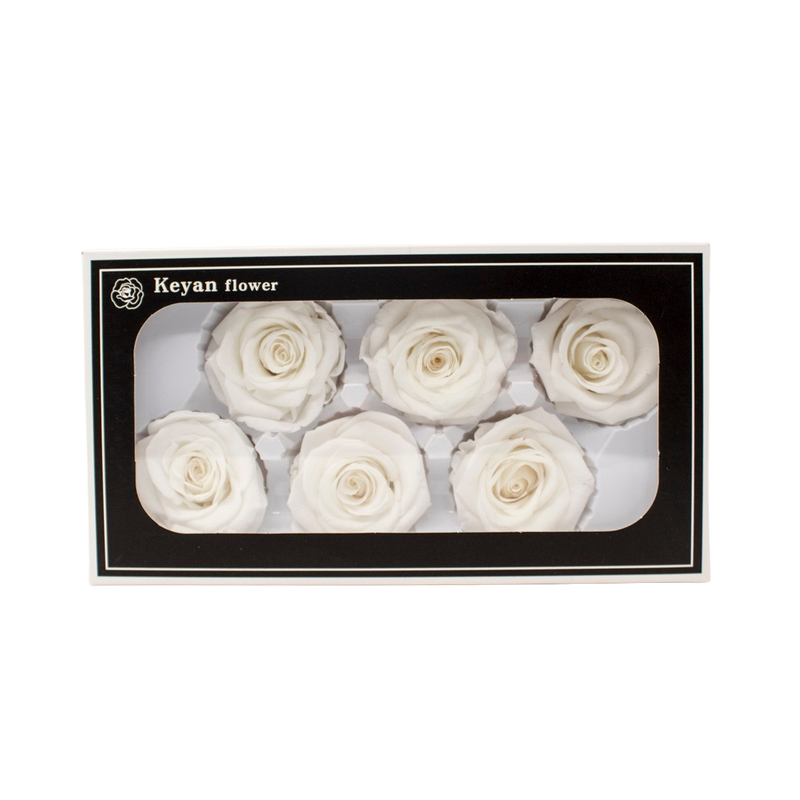 FOREVER ROSES 6PCS WHITE 6CM