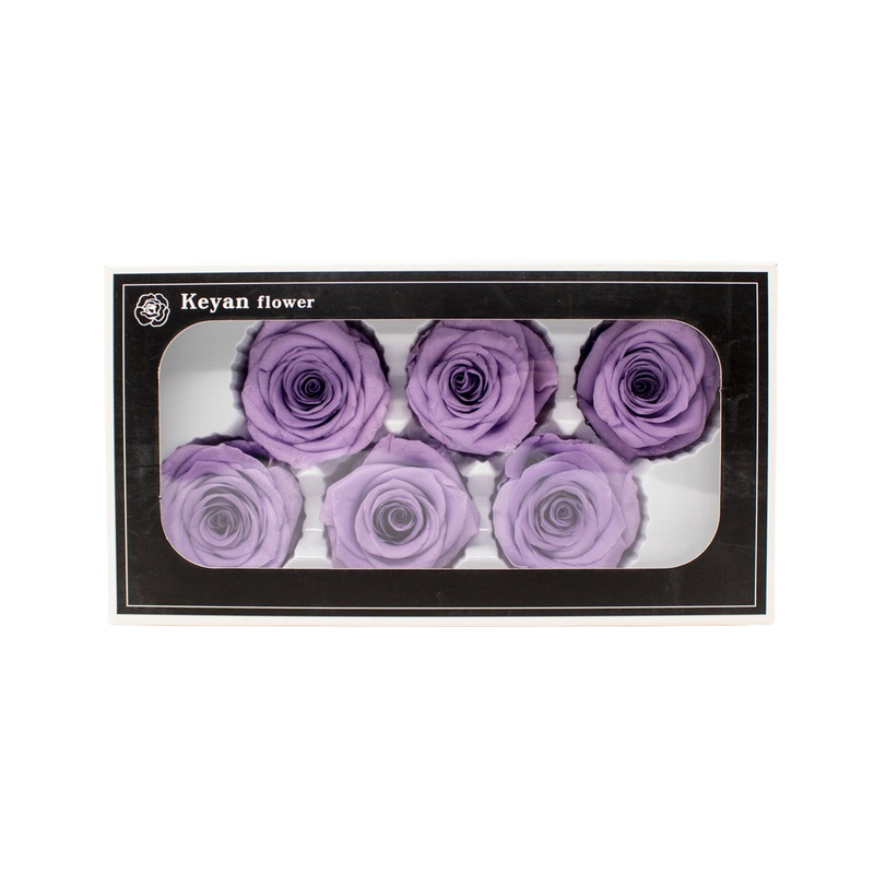 FOREVER ROSES 6PCS LEVANDER 6CM