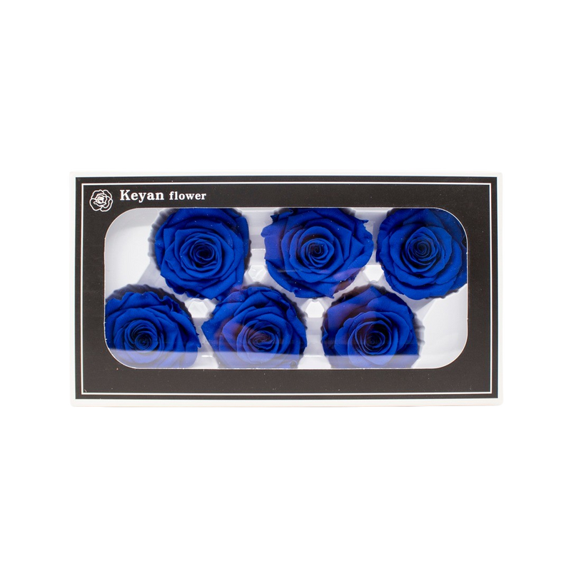 FOREVER ROSES 6PCS BLUE 6CM