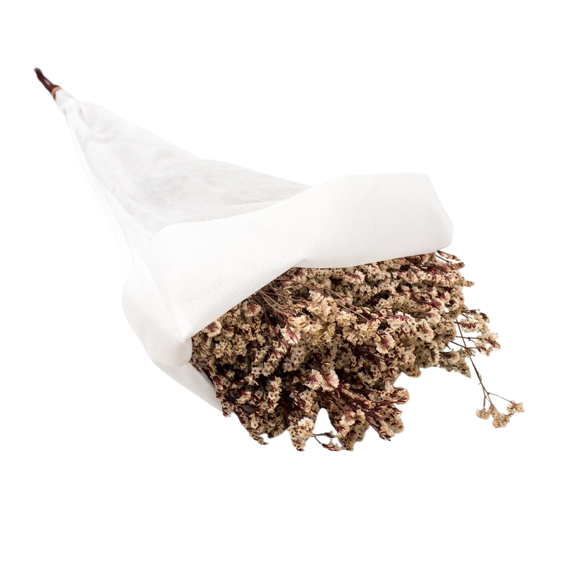 DRIED LEMONIUM NATURAL 100G