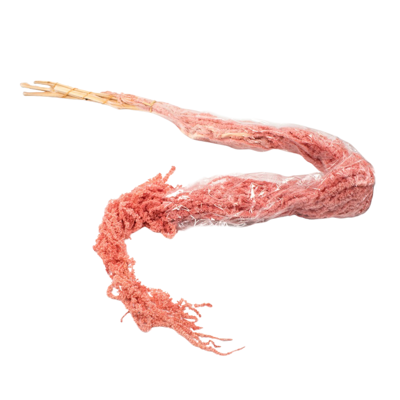 DRIED HANGING FLOWERS PINK 100G