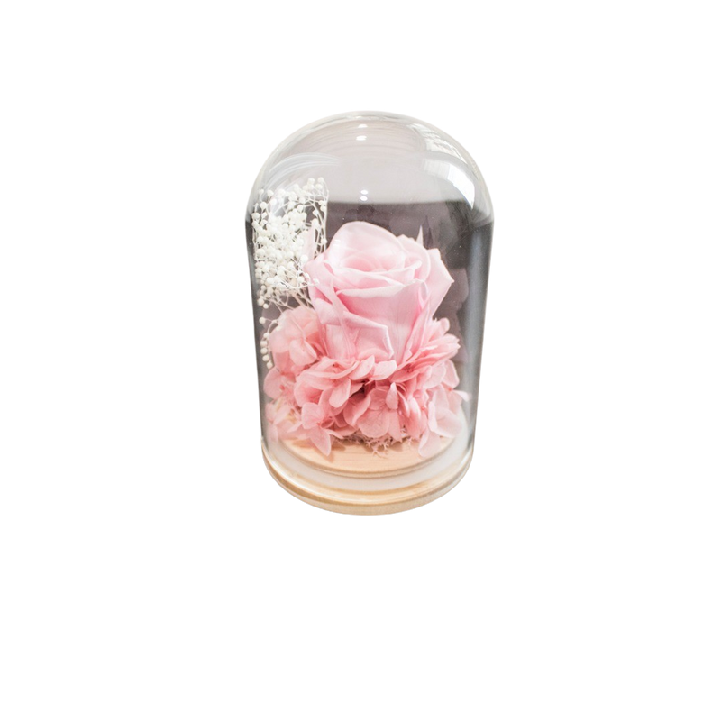 PRESERVE ROSE IN DOME 8X12CM PINK