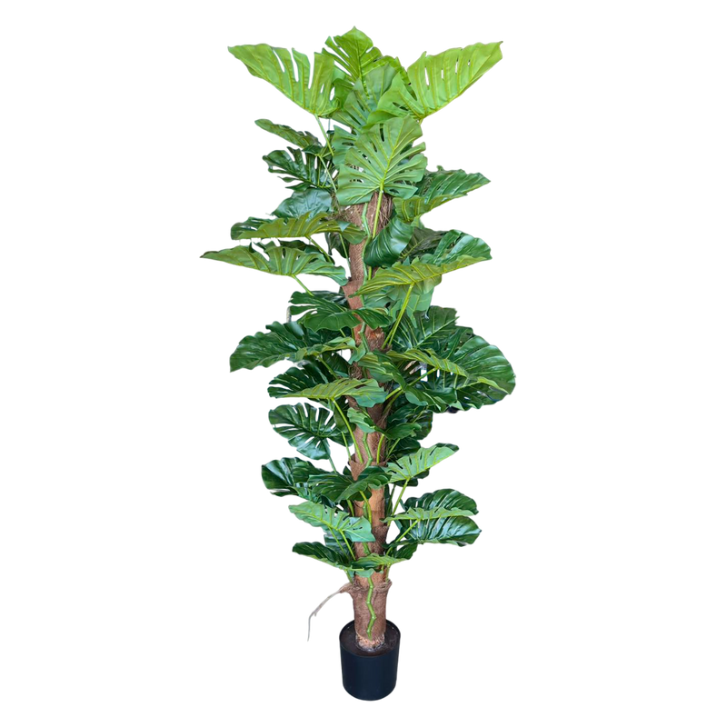 ARTIFICIAL MONSTERA 150CM