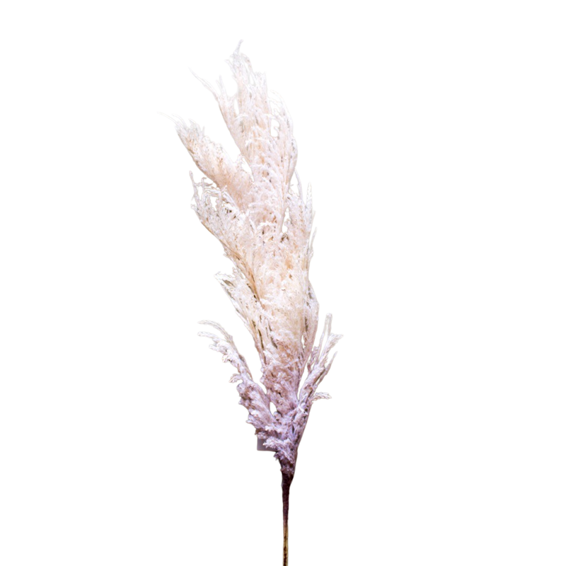 ARTIFICIAL PAMPAS 100CM