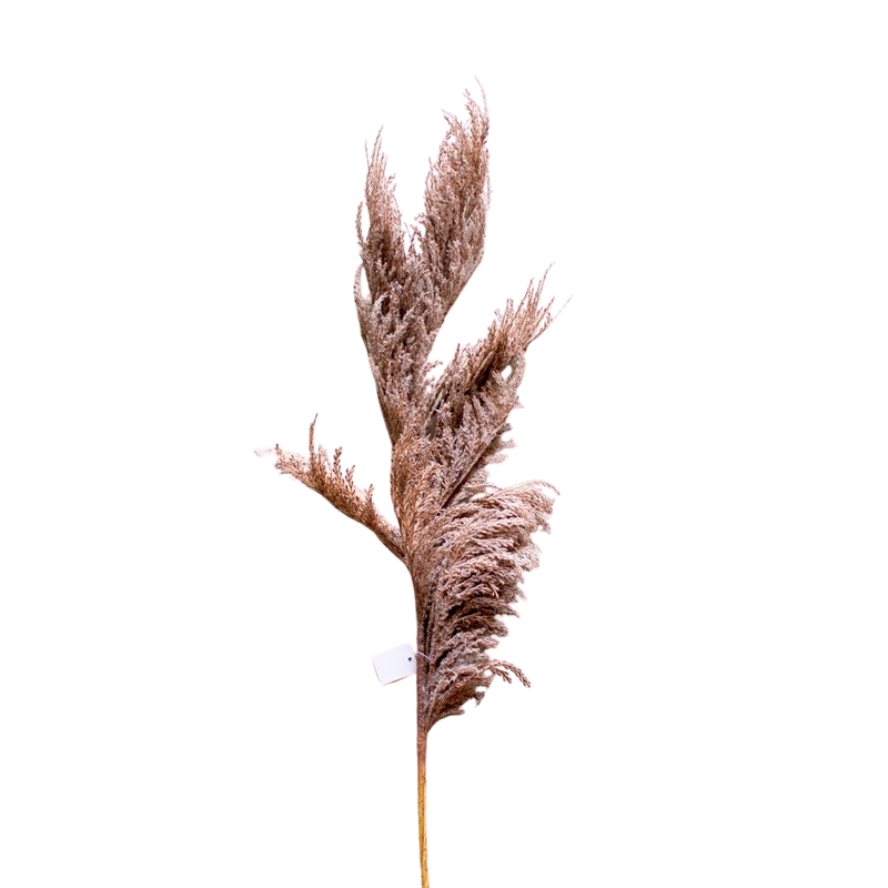 ARTIFICIAL PAMPAS 100CM