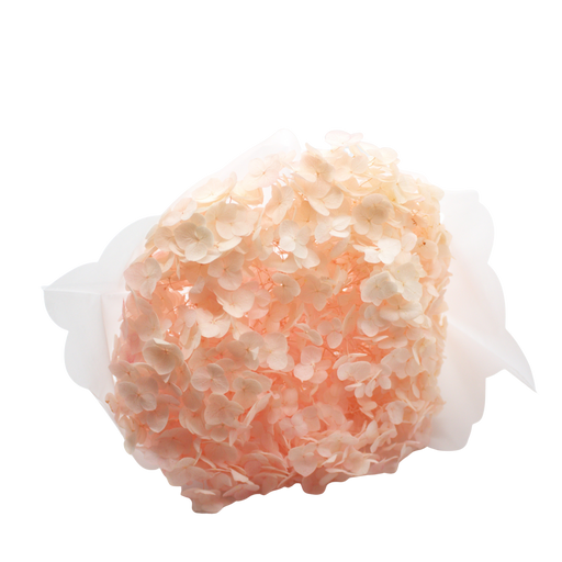 ARTIFICIAL ORTANSIA PINK Deventor