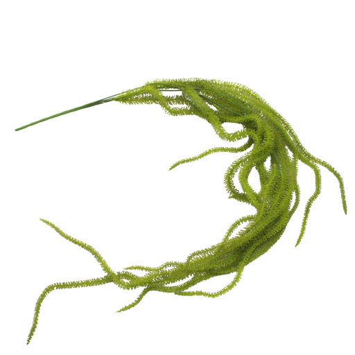 ARTIFICIAL GREENERY DRY AMARANTHUS Deventor