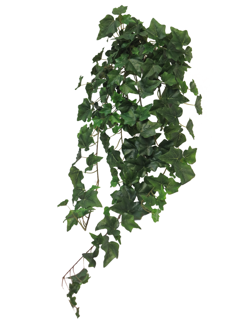 IVY LIGHT GREEN 86CM