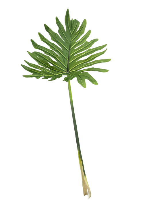 PHILODENDRON LEAF GREEN 93CM
