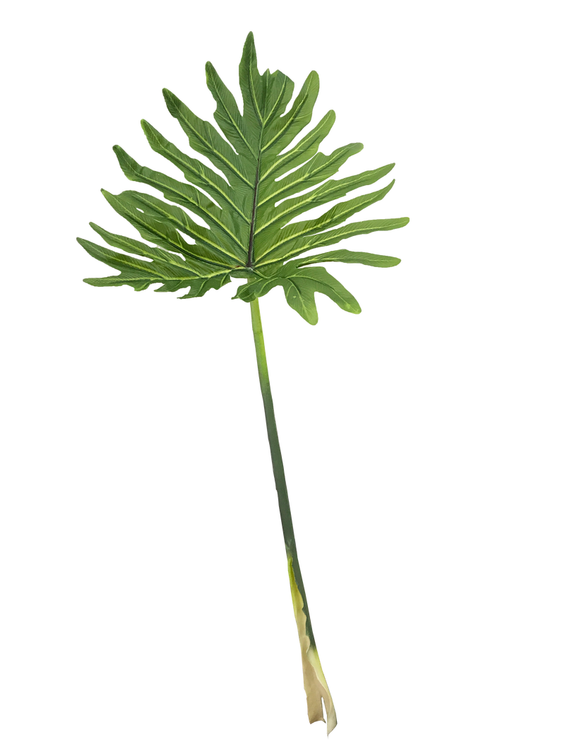 PHILODENDRON LEAF GREEN 93CM