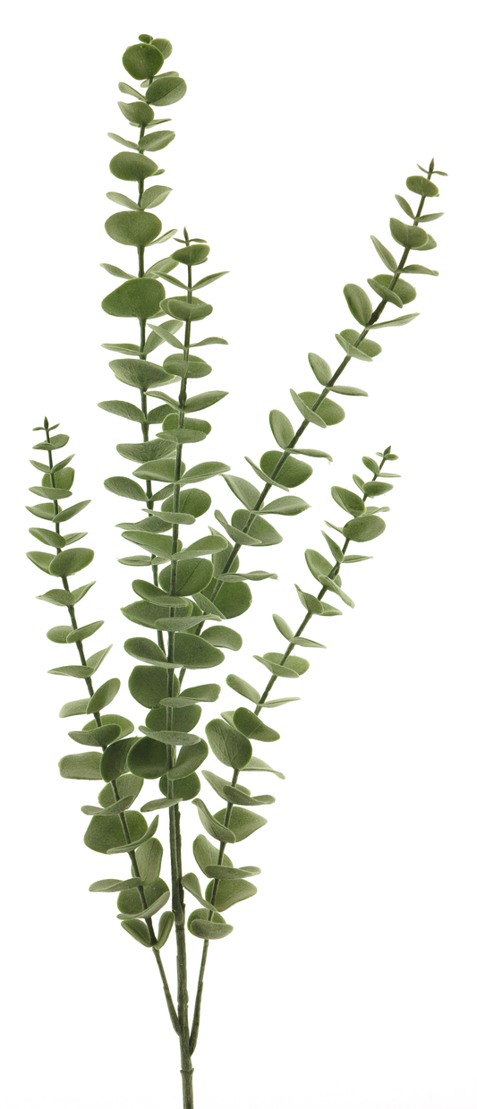 AUCALYPTUS X5 90CM
