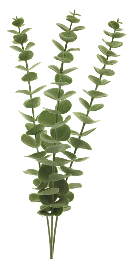 EUCALYPTUS SPRAY X3 60CM