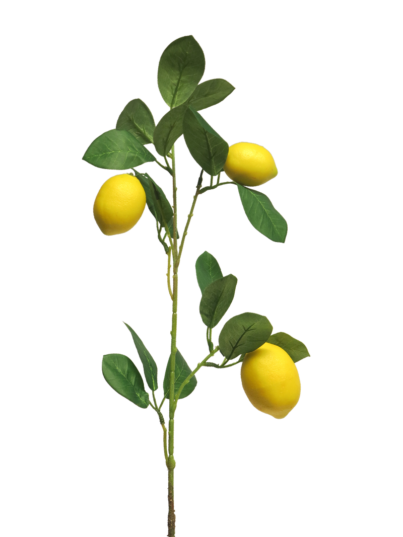 LEMON SPRAY  x3 YELLOW 74m