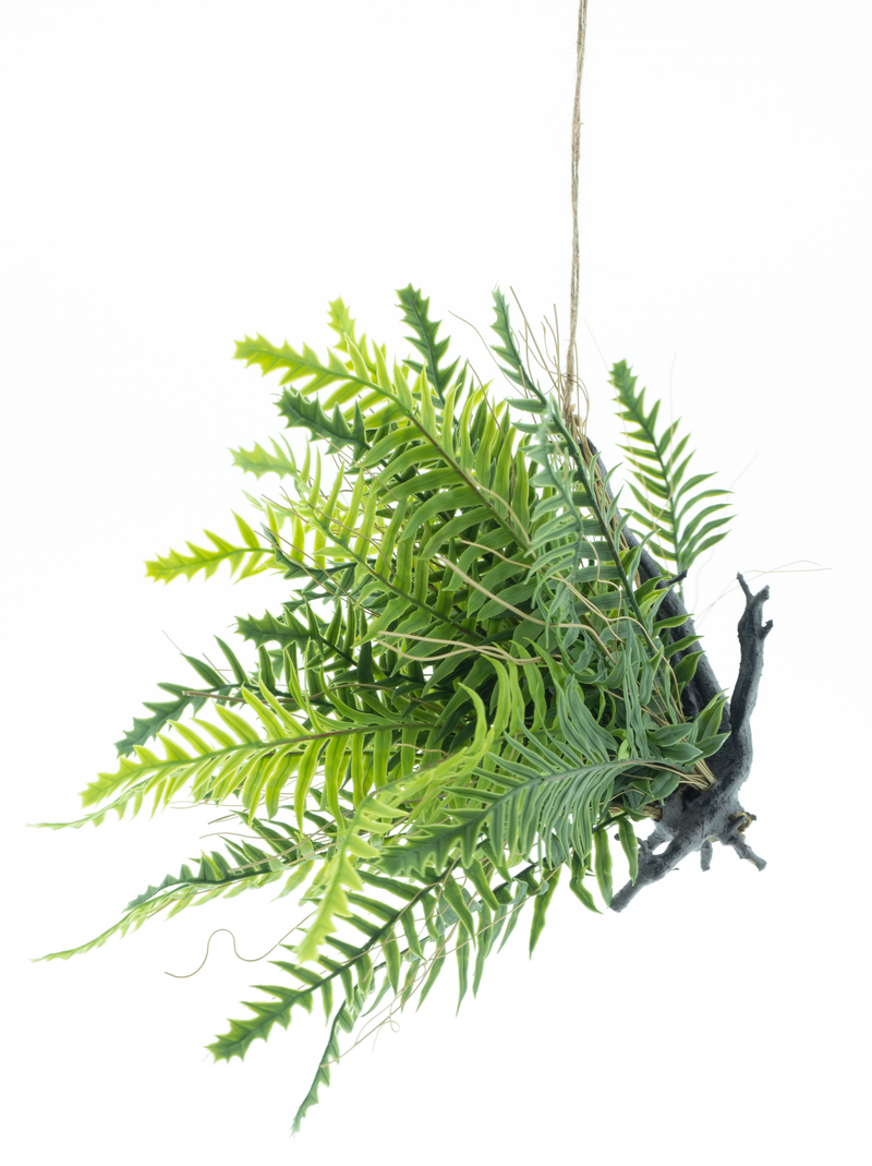 FOREST FERN HANGER 28CM